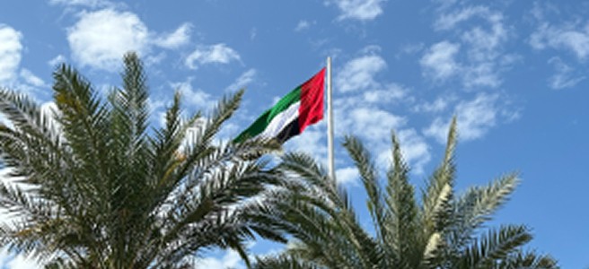 5 Smart Ways to Save on Your Insurance Premiums in the UAE